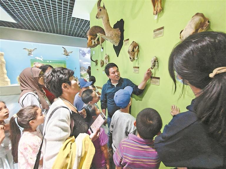 QQ�DƬ20250826073415