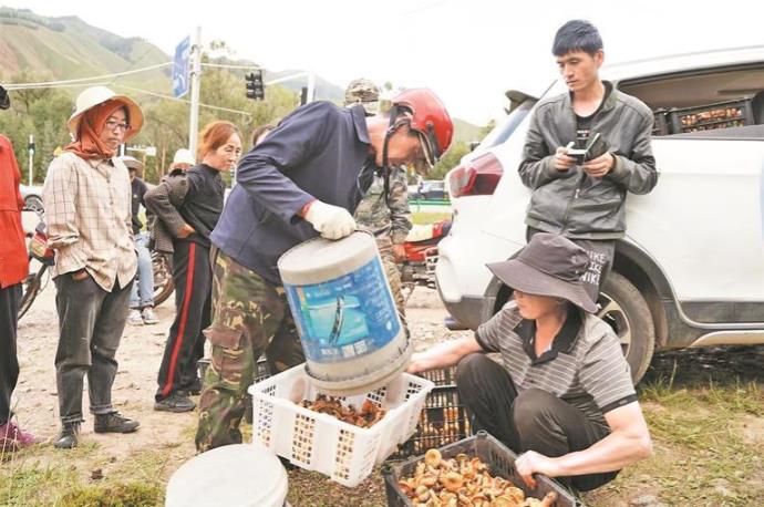 ���l(xi��ng)�����d���ຣ��ɽҰ��ġ��¸��㡱