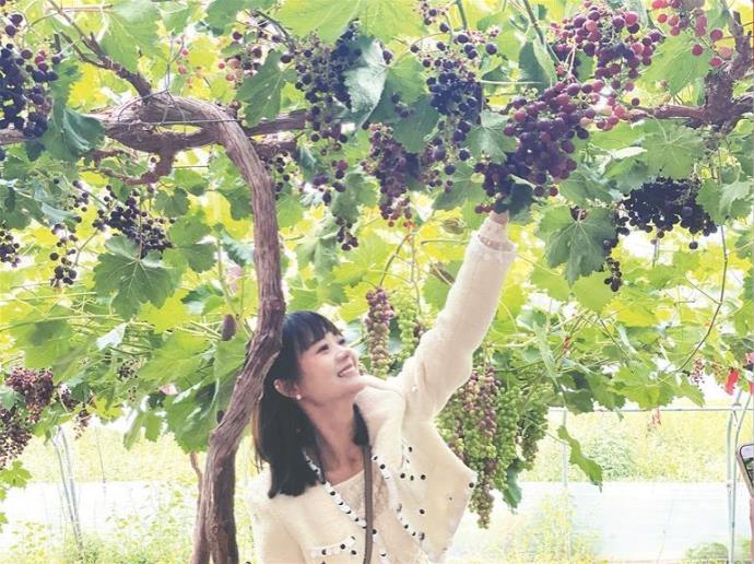 ���l(xi��ng)�����d���ຣ������������Ҳ��