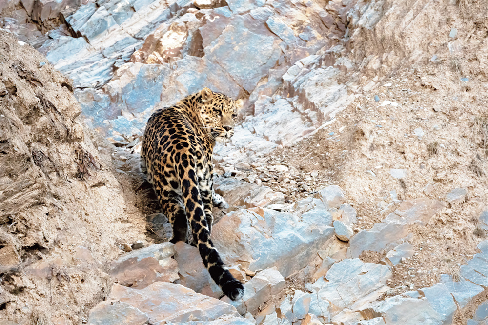 QQ�DƬ20250828064353