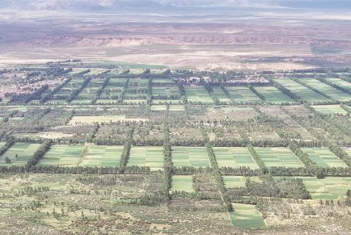 ��Į׃�G�� ɳ���������˽��������Gɫ����