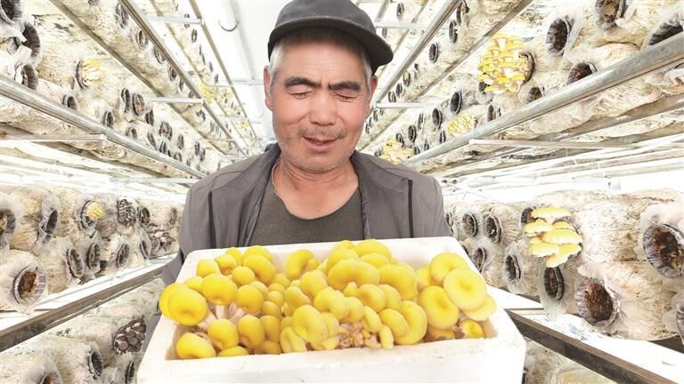 QQ�DƬ20250905061307