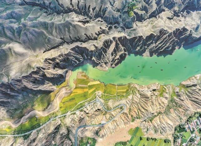 �B�����{