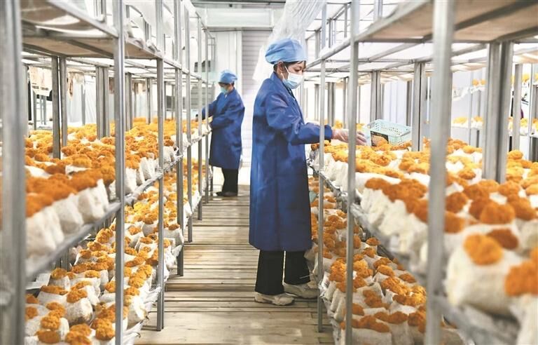 QQ�DƬ20250911053850