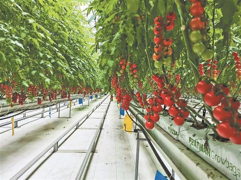 QQ�DƬ20250911053907