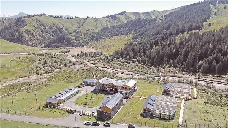 ���������Bɽ��������һ�����������o(h��)��90��Ů�����S�ȵ��ഺ����