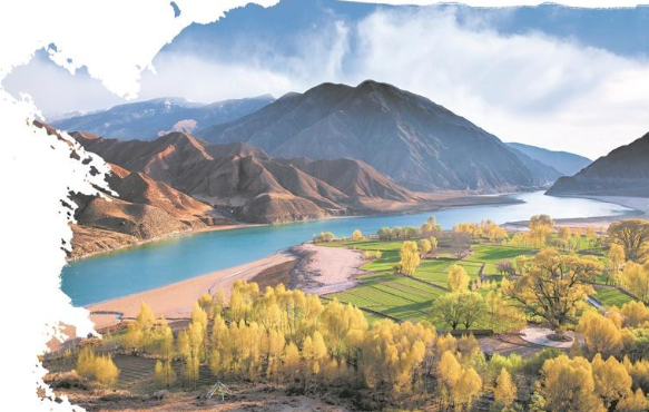 4e1b82d2-70e3-4bff-9871-9a9e8a4bed0a