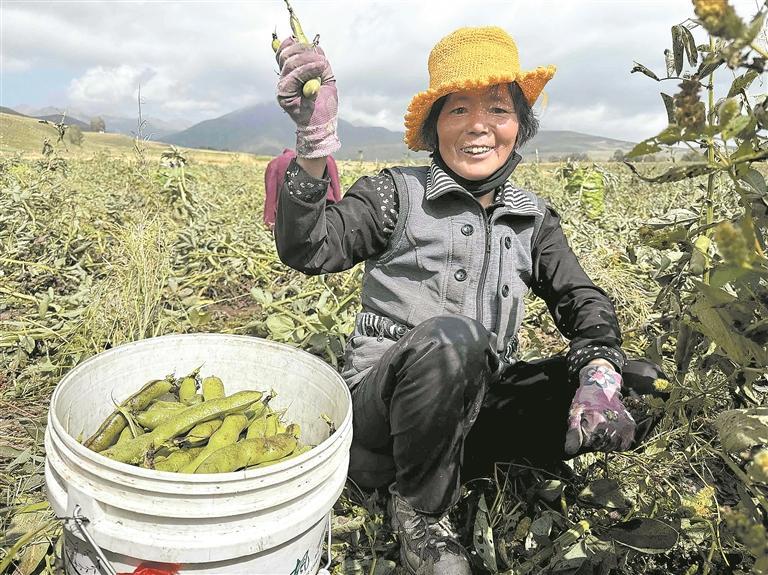 ���c�r(n��ng)�I(y��)�S�� �����������ԭ���𶹶��� ���ա��¸�����