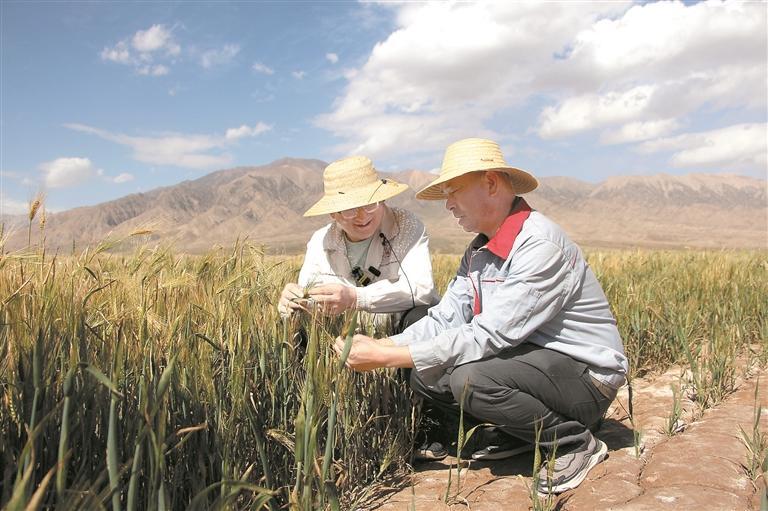 ���c�r(n��ng)�I(y��)�S�� �������������}�A�� ����ӭ�S��