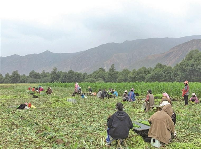 wechat_2025-09-28_071611_436