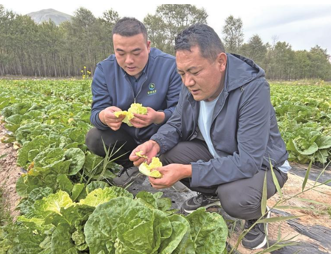 wechat_2025-09-28_071813_180