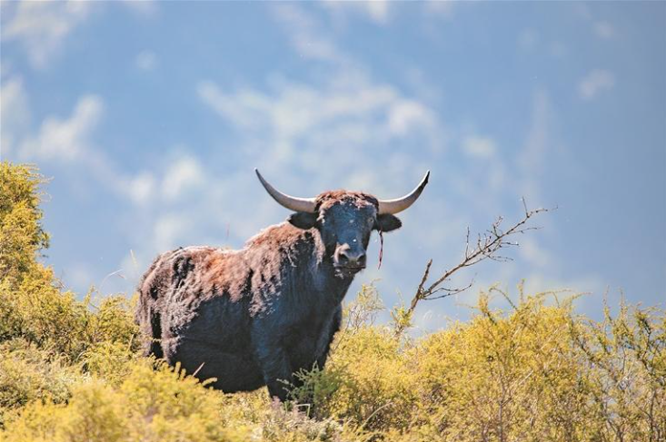 wechat_2025-10-05_065455_013