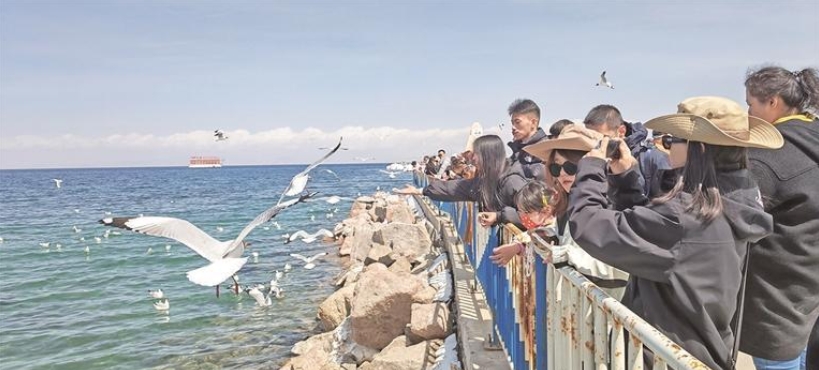 ΢�Ž؈D_20251009064756