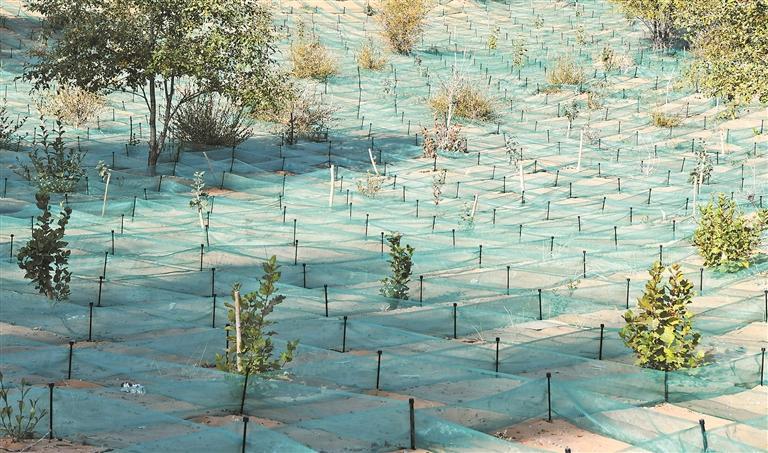 �ຣ���m�h����Į�u�ɾG��