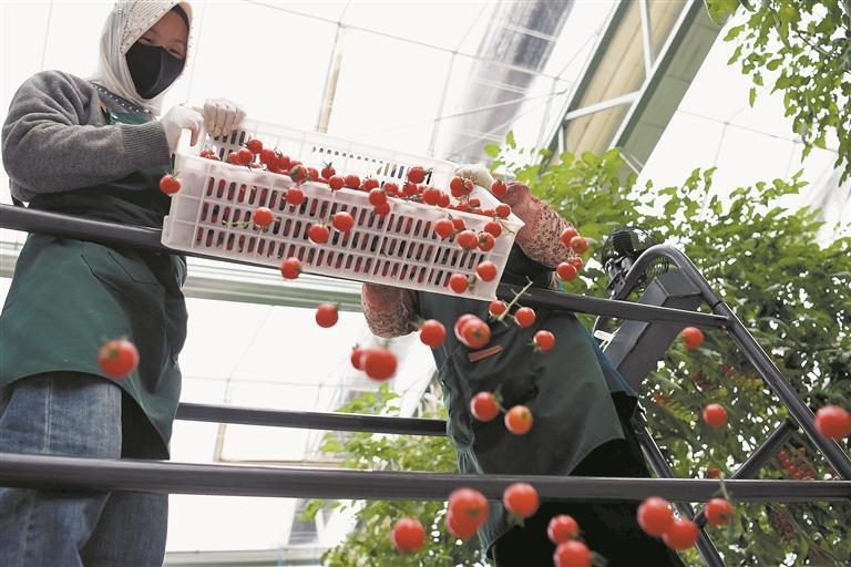 �ຣ��ͨ�h���Ƽ��x�����������B