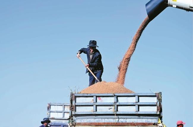 �ຣ�F�ϣ���Ұ�gӭ�S��