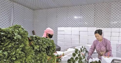 ���ӽ�4�f���ڼ��T�ھ͘I �ຣ��ͨ���˻@�ӡ��ך���