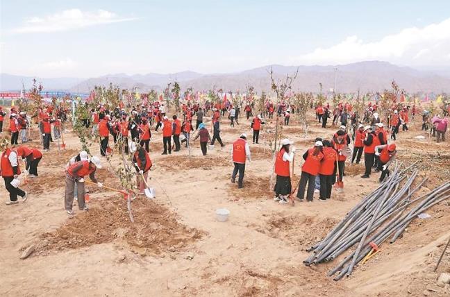 【山海同心 筑夢青海】江蘇省第六批援青干部人才舉行主題黨日暨“蘇青友誼林”植樹活動
