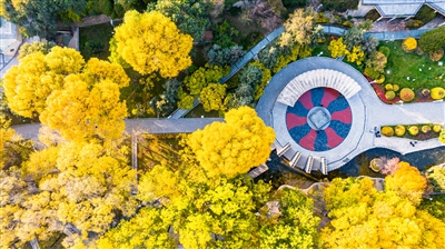 ����Ҋ����������������ɫ�����