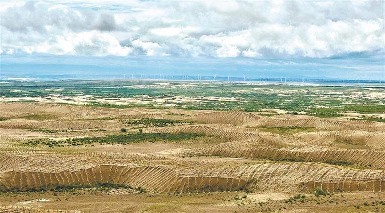 戰(zhàn)沙一線,青海按下綠色“加速鍵”——青海全力推進(jìn)“三北”工程攻堅(jiān)戰(zhàn)系列報(bào)道之一