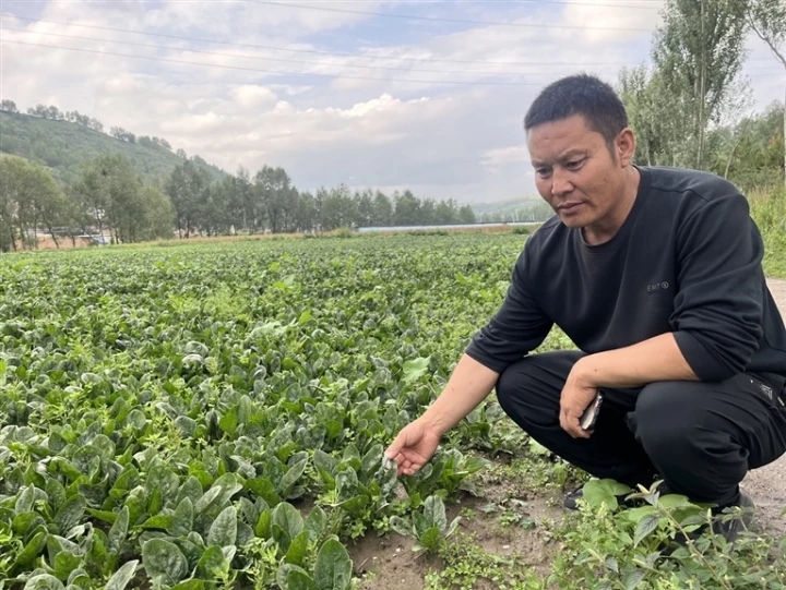 搭建法律與群眾間的“連心橋”