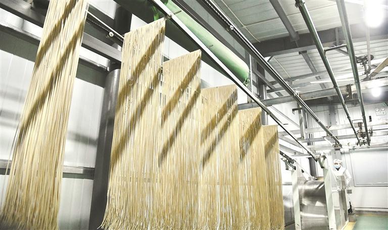 一把面條“煮”出鄉(xiāng)村振興好日子