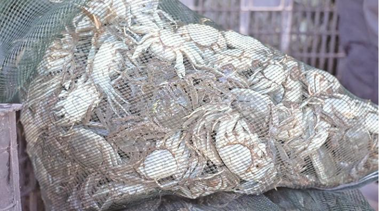 ScreenShot_2025-11-23_071820_132