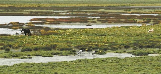 【關注】發揮政協作用 助力生物多樣性保護——省政協圍繞“全面加強生物多樣性保護,推進實現生態功能最大化”協商議政