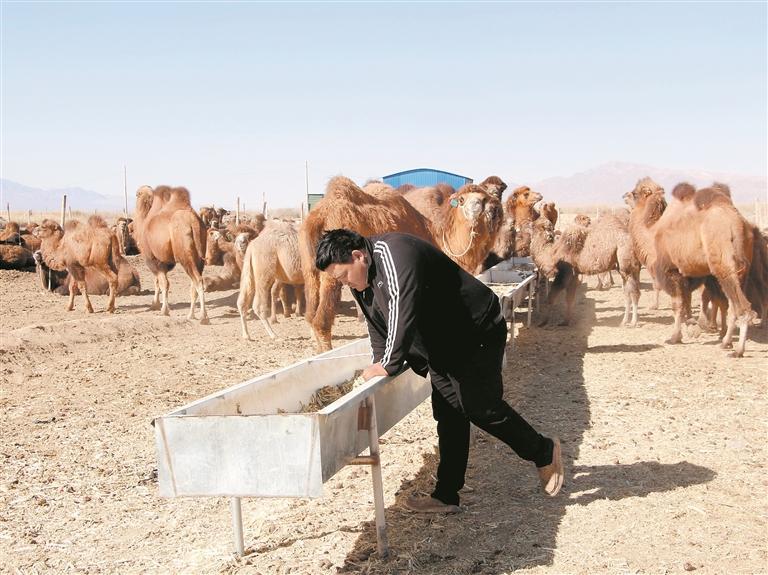 【輝煌“十四五” 改革譜新篇】“石榴籽”抱得更緊 共富路走得更遠