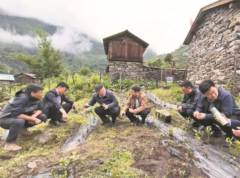 ����ظ�ԭ �҂���ͬ���o�����(li��n)�ӈ�������㏛��������Ц�ˣ�