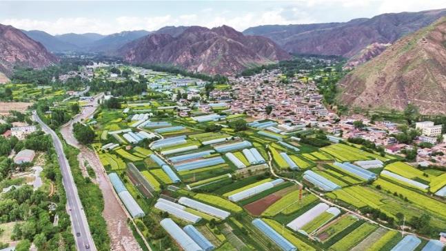 ���x�͡�ʮ���塱 �ĸ��V��ƪ���������ߑ{��ʳ������Ȧ �L���l(xi��ng)�����d�Gɫ����