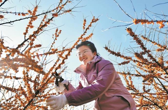 ���l(xi��ng)�����d���ຣ����С����������l(xi��ng)�����d����朗l��