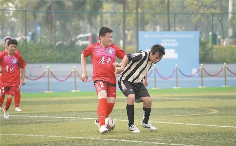 殘特奧會賽場 青海代表團多點開花捷報頻傳